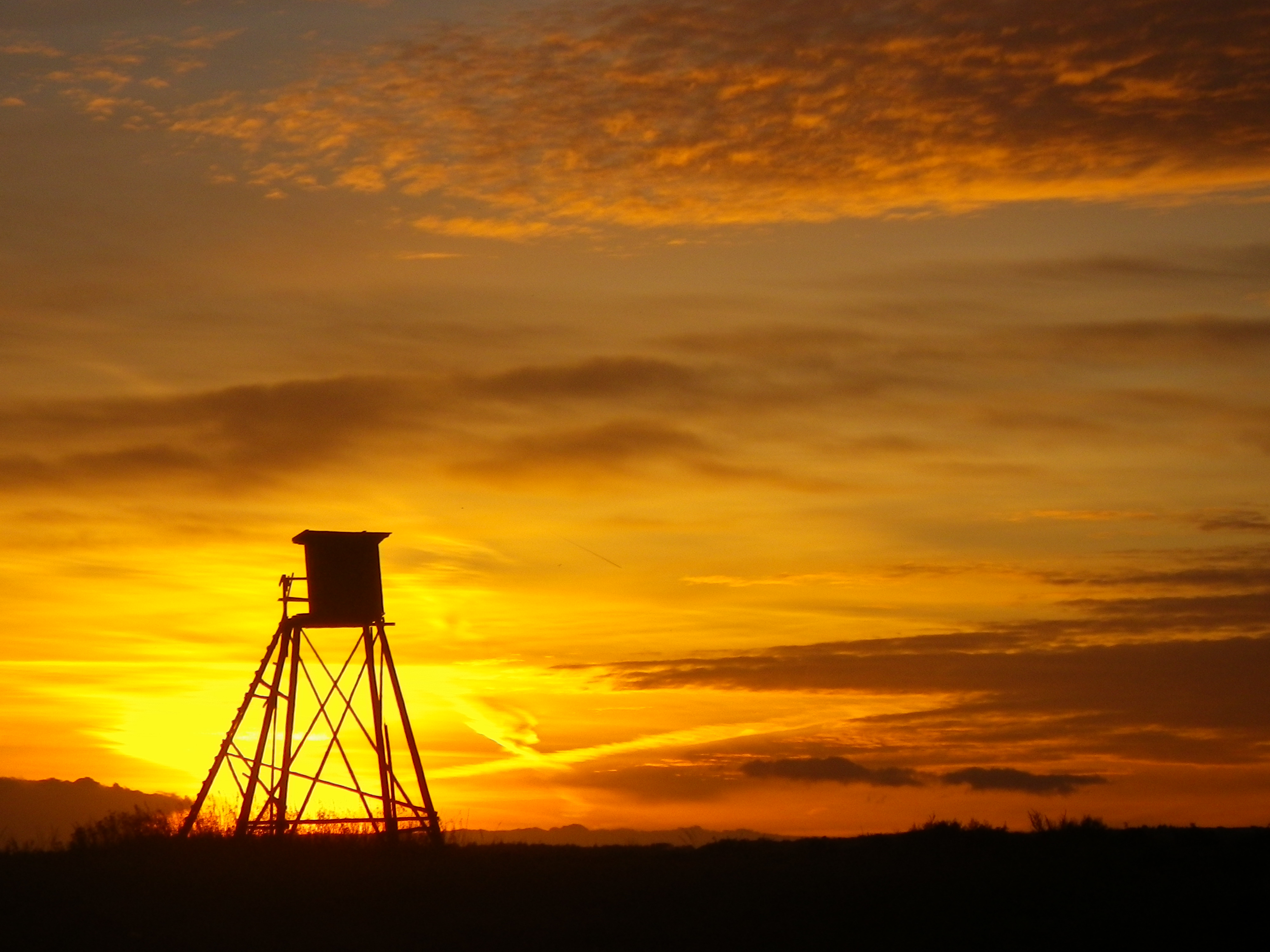 Sonnenuntergang im Schatten der Hochsitze