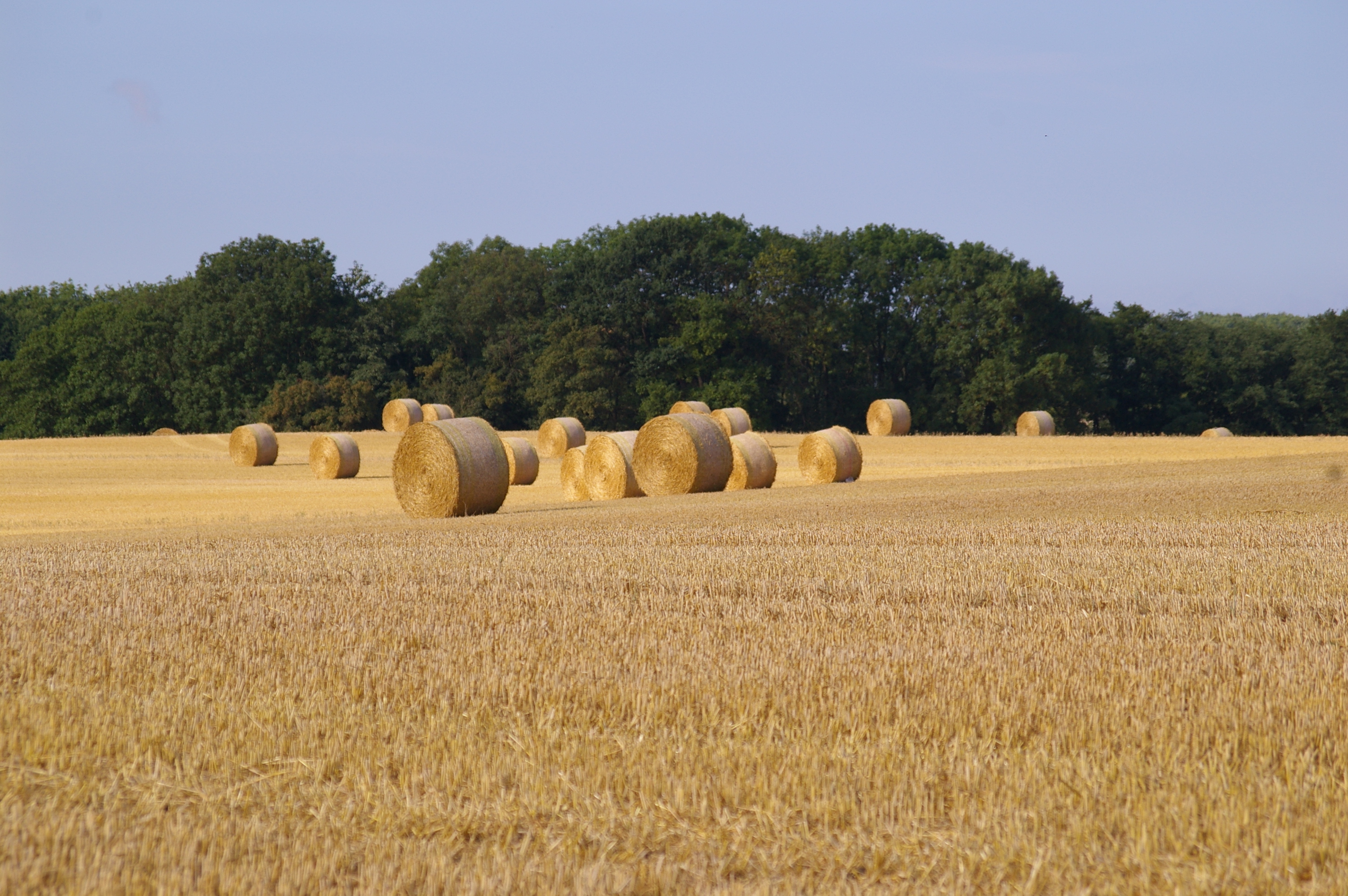 Die Ernte ist eingebracht!