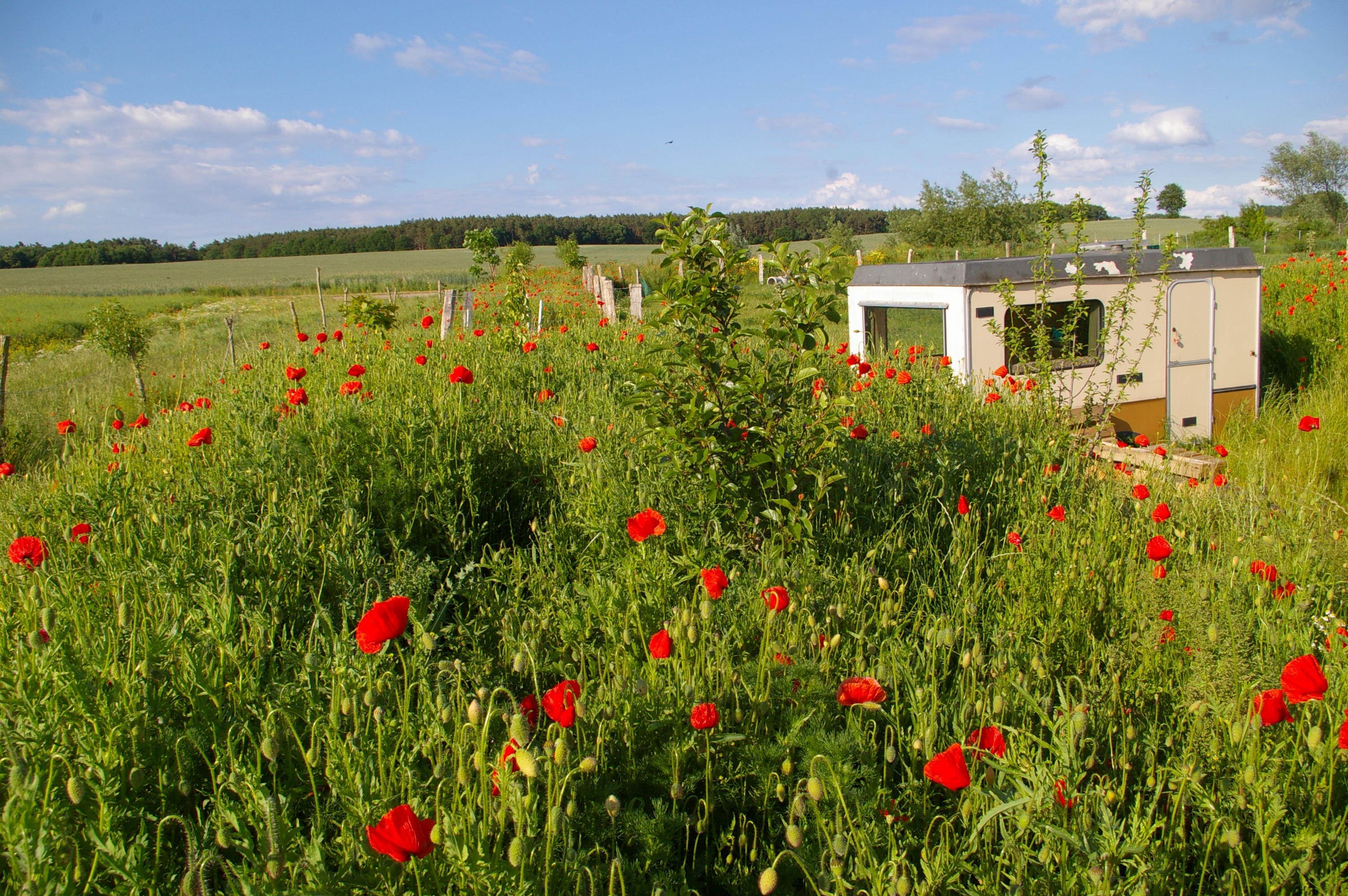 "Tiny-house" als kleine
Pilgerherberge